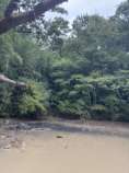 アベマキの下の水面は真っ黒.jpg