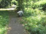 06道路際の草刈作業.jpg