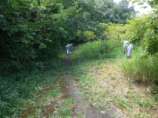 07散策路沿いの草の除伐作業.jpg