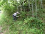 道路際の竹の除伐作業.jpg