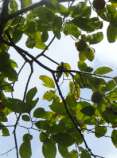 DSC06237.jpg