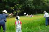 上段の鳥よけネット張り.jpg