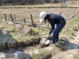 水路の土の除去.jpg