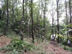 IMG_1081.jpg