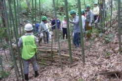 竹林整備の作業説明.jpg