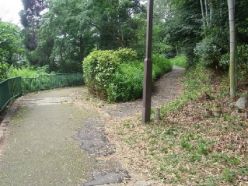 作業後の道路周辺.jpg