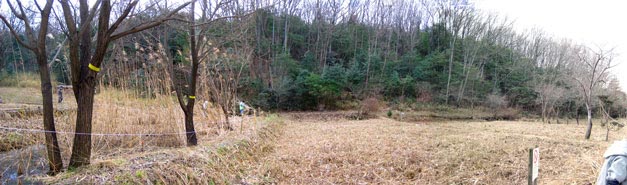 20210207作業後.jpg