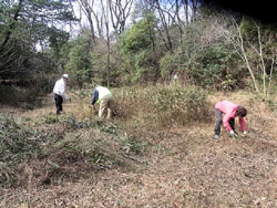 湿地下部での草刈作業.jpg