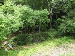 作業後の散策路北側.jpg