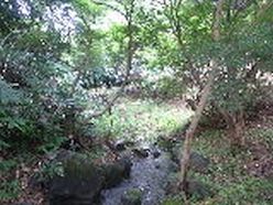 作業後の水路周辺.jpg