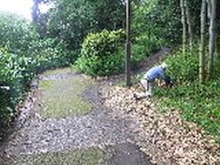 遊歩道沿いの草刈り.jpg