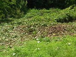 作業後の草地地斜面.JPG