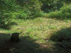 0905作業後の草地.jpg