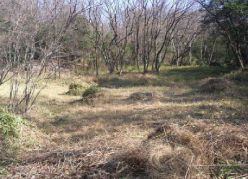 作業後の湿地中央部.jpg