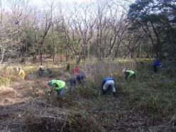 手鎌による草刈作業.jpg