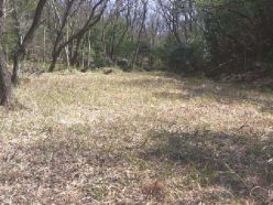 作業後の湿地上部.jpg