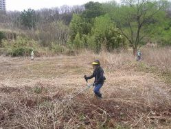 刈払い機による草刈り作業.jpg