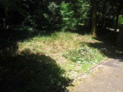 作業後の道路沿い草地.jpg