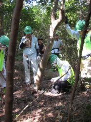 散策路を覆う広葉樹の除伐.jpg
