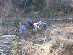 シラタマホシクサ自生地での作業.jpg