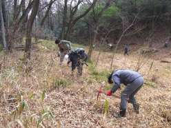 笹の地下茎の除去作業.jpg