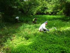 棚田での草刈り.jpg