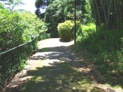 作業後の散策路.jpg