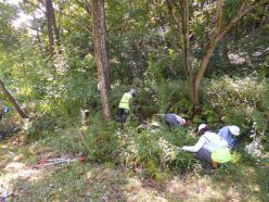大坂池南側での作業.jpg