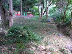 作業後の水路周り.jpg