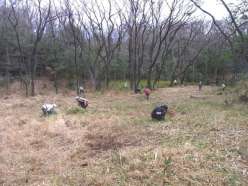 湿地上部での草刈作業.jpg