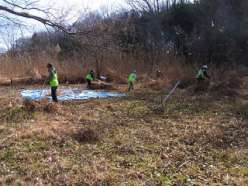 ヨシ原の整備作業.jpg