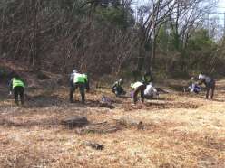 地下茎の除去作業（１）.jpg