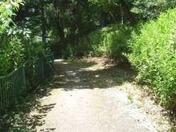 作業後の散策路.jpg