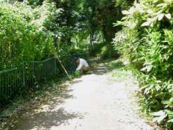 散策路沿いの草刈作業.jpg