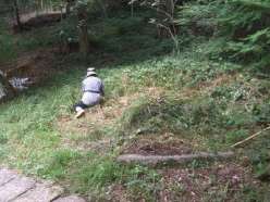道路周辺の草刈作業.jpg