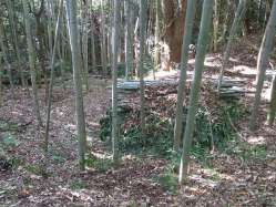 作業後のダム.JPG