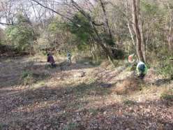 湿地下部での草刈り作業.jpg