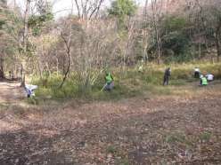 湿地中央周辺部での草刈作業.jpg