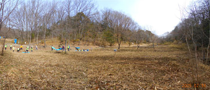 作業後のヨシ原.jpg