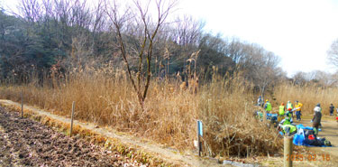作業開始1.jpg