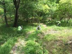 散策路などの草刈作業.jpg