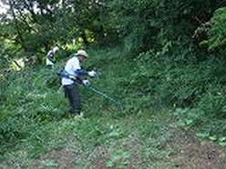 刈り払い機による草刈.JPG