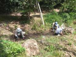 水路の整備作業.jpg