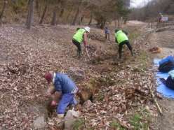 水路の落ち葉除去.jpg